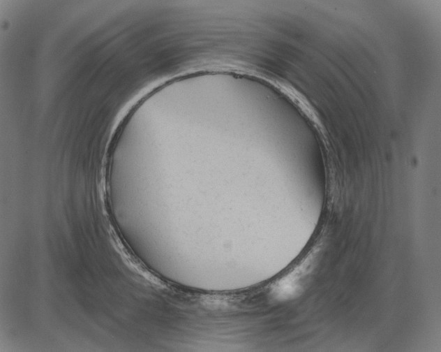 X0000081460904200702021804