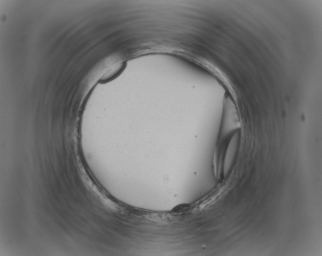 X0000081460906200702021804