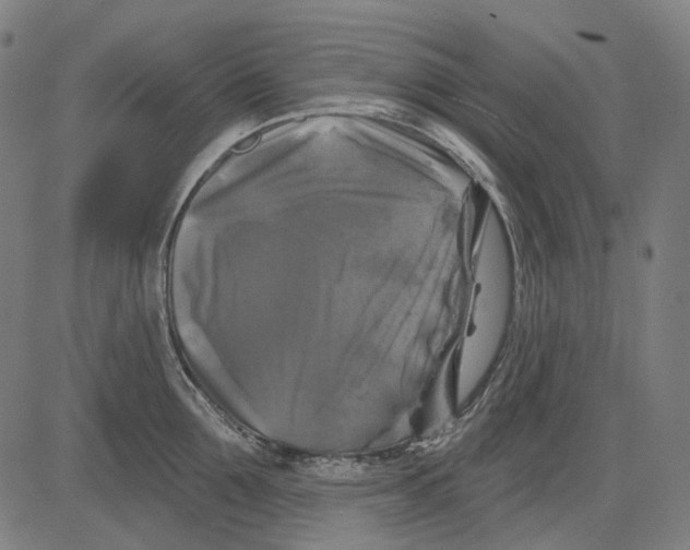 X0000081460907200702021804