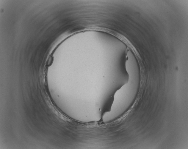 X0000081460908200702021804