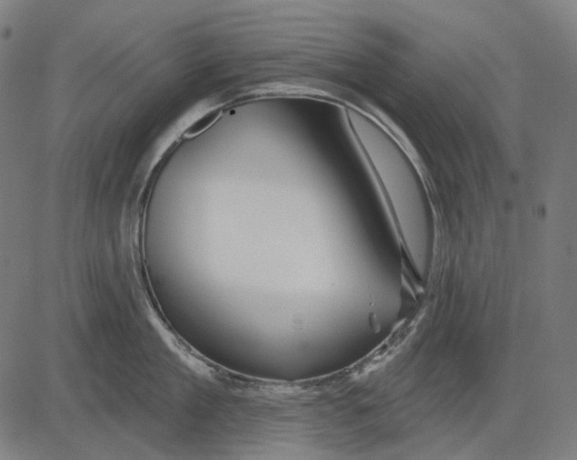 X0000081460909200702021804