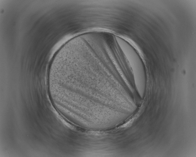 X0000081460910200702021804