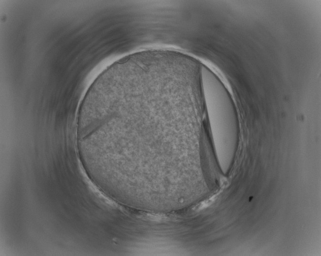 X0000081460911200702021804