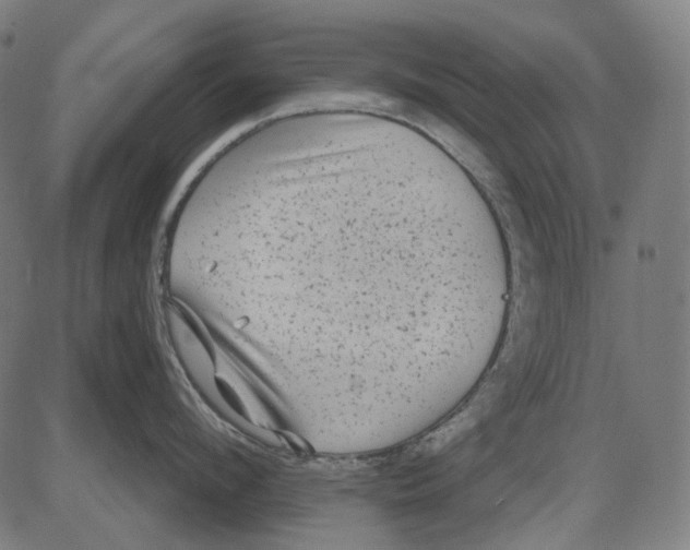 X0000081460912200702021804