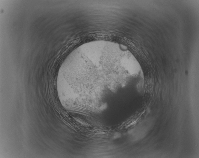 X0000081460913200702021803