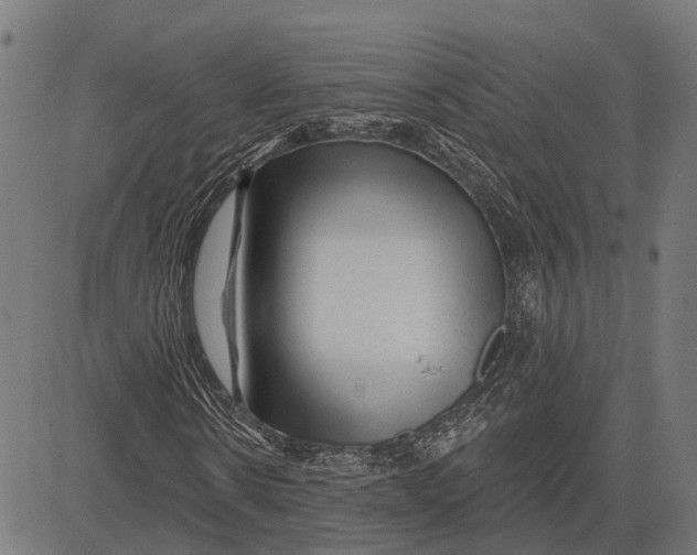 X0000081460914200702021803