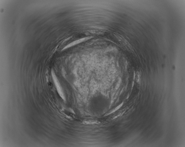 X0000081460915200702021803