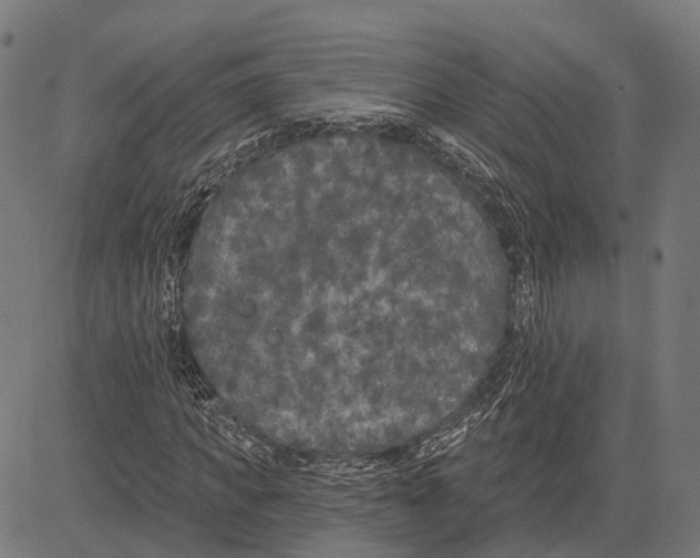 X0000081460917200702021803