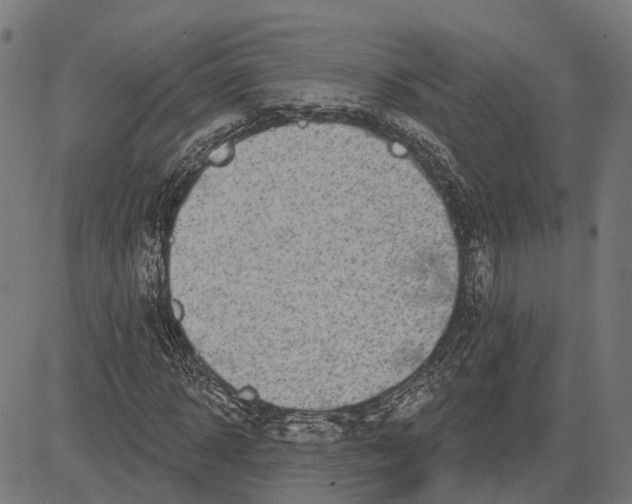 X0000081460918200702021803