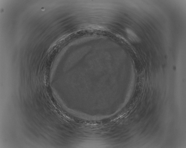 X0000081460919200702021803