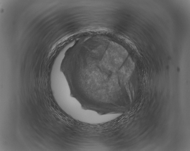 X0000081460920200702021803