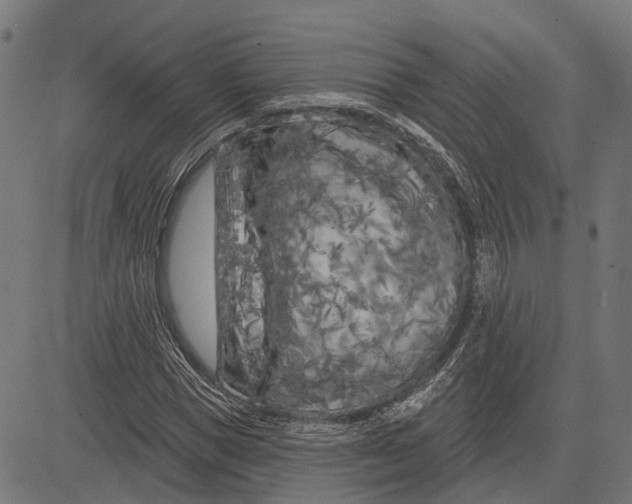 X0000081460921200702021803