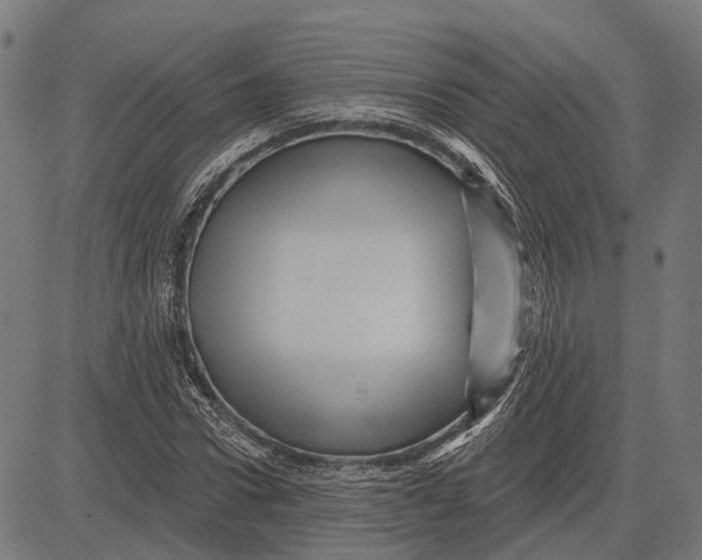 X0000081460922200702021803