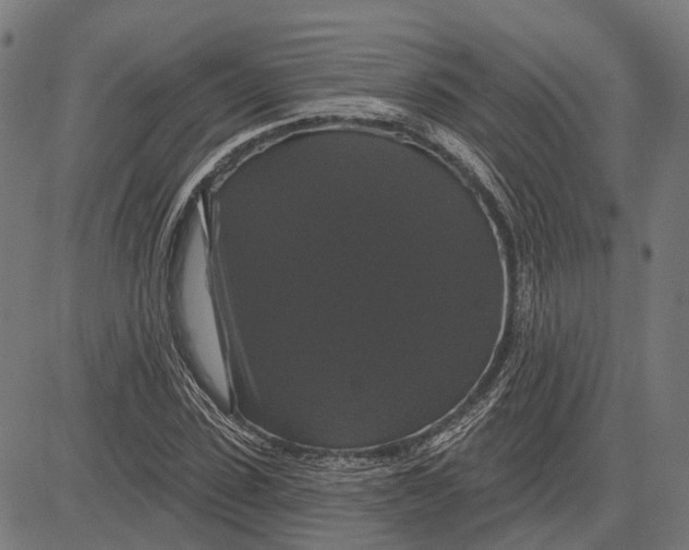 X0000081460923200702021803