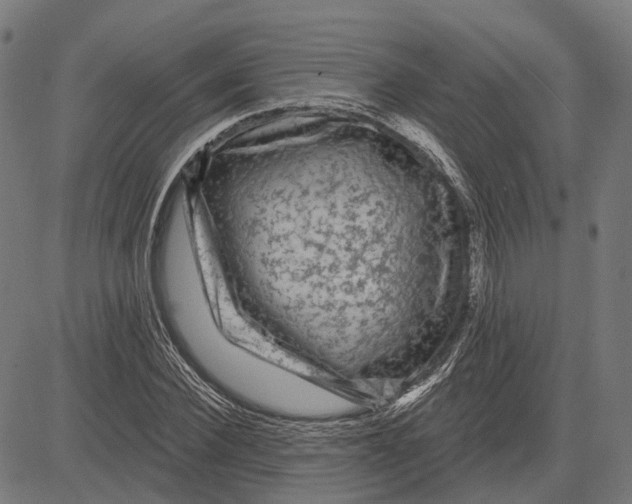 X0000081460924200702021803