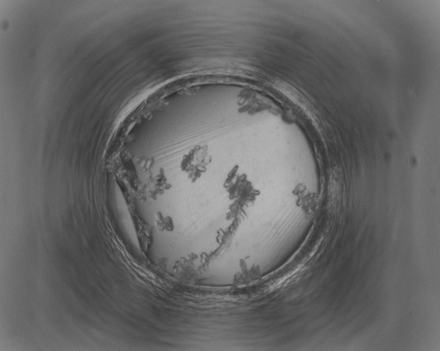 X0000081460925200702021803