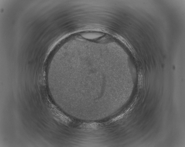 X0000081460926200702021804