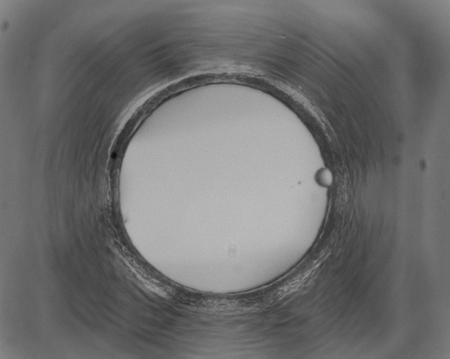 X0000081460927200702021804