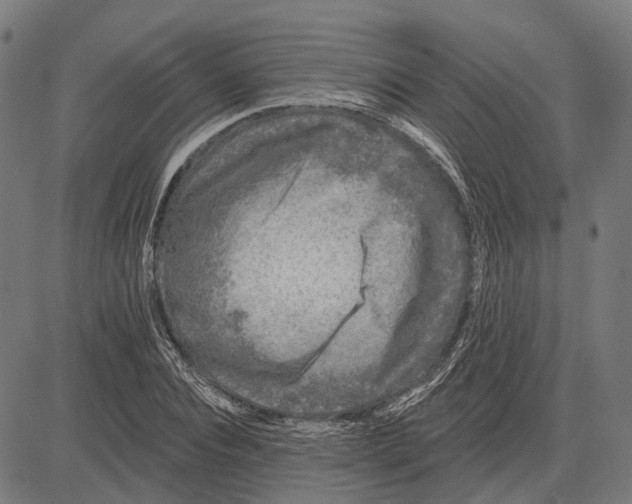 X0000081460928200702021804