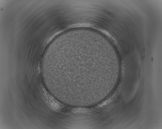 X0000081460929200702021804