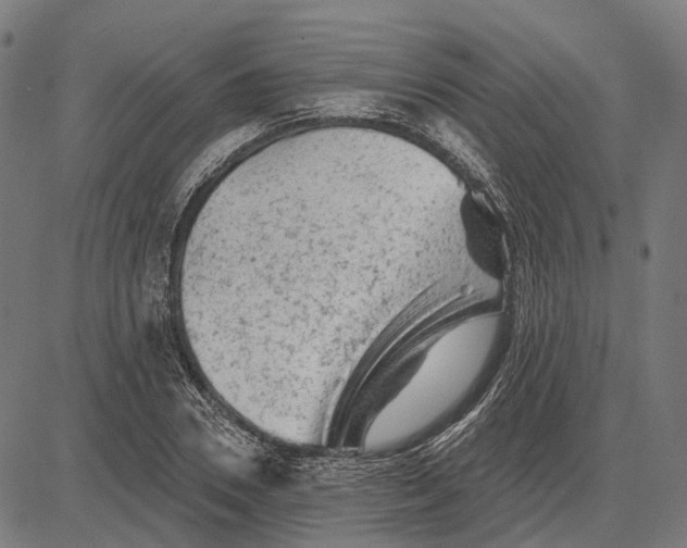 X0000081460930200702021804