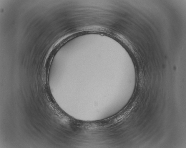 X0000081460931200702021804