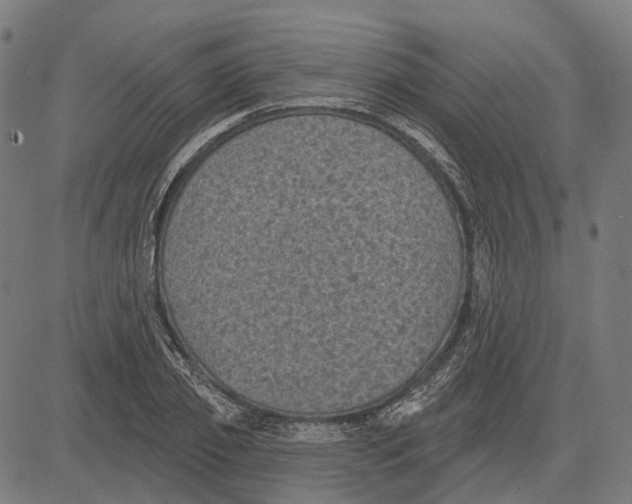 X0000081460933200702021804