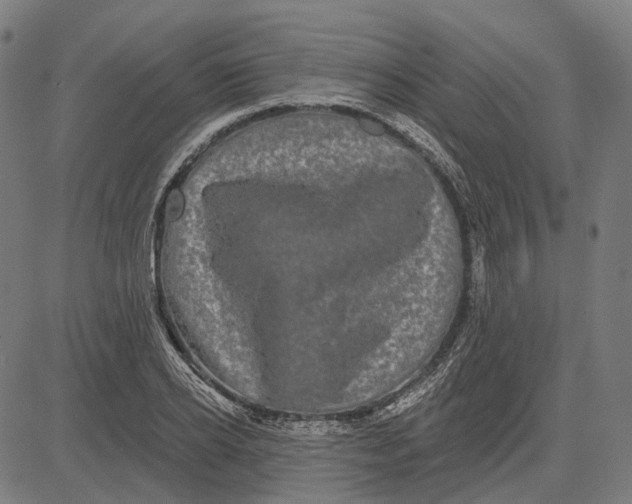 X0000081460934200702021804