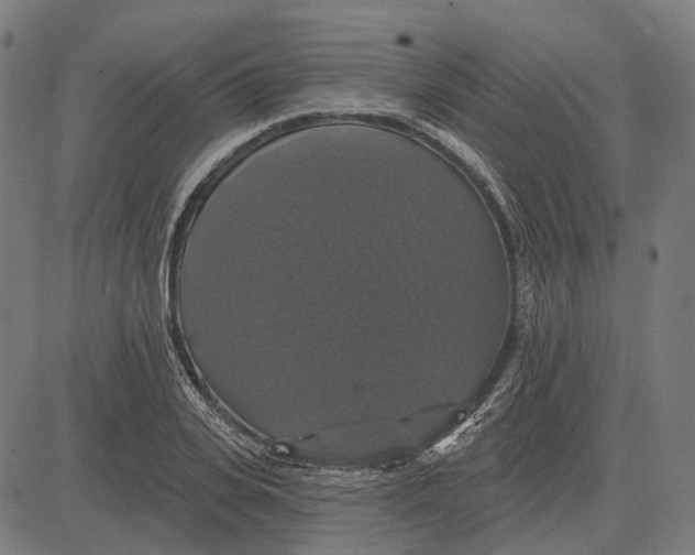 X0000081460935200702021804