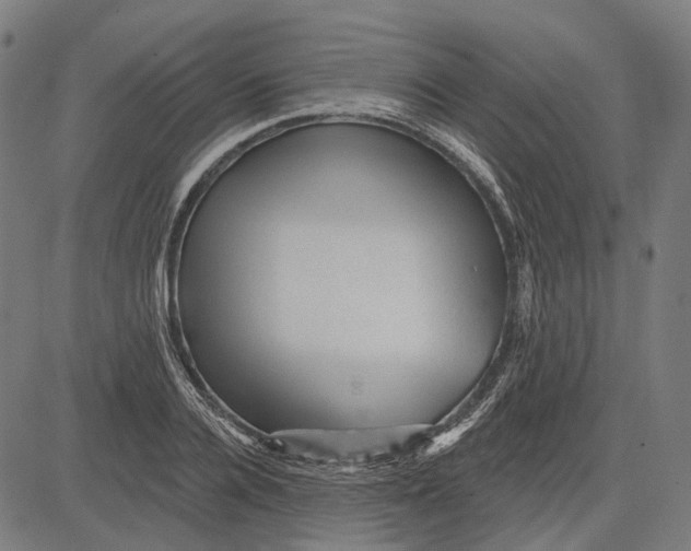 X0000081460936200702021804