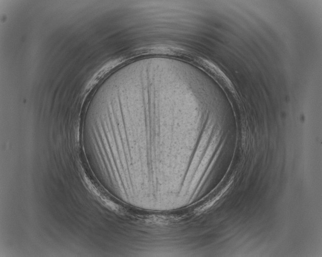 X0000081460938200702021804