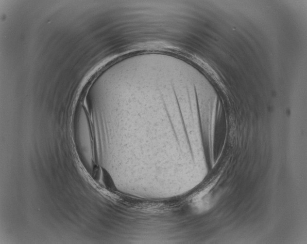 X0000081460939200702021804