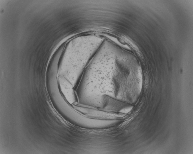 X0000081460940200702021804