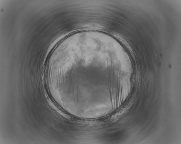 X0000081460941200702021804