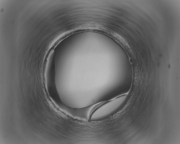 X0000081460942200702021804