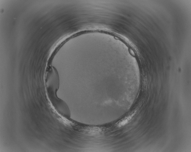 X0000081460943200702021804