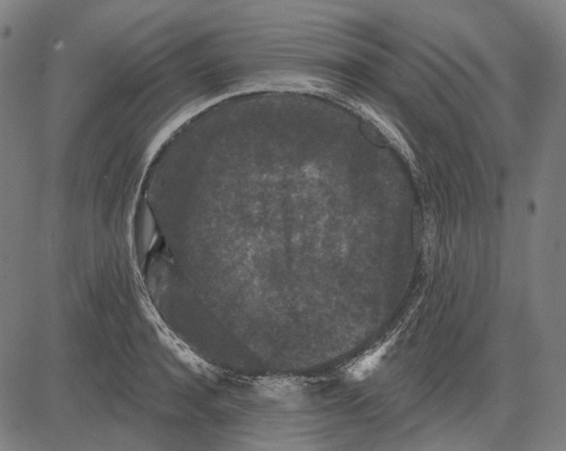 X0000081460944200702021804