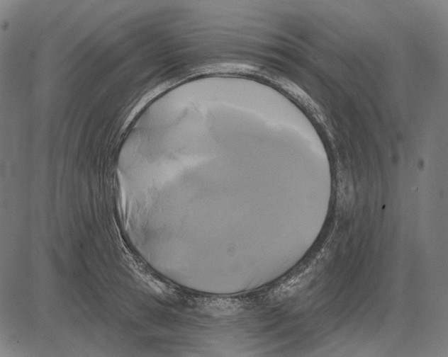 X0000081460945200702021804