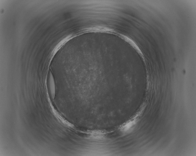 X0000081460946200702021804