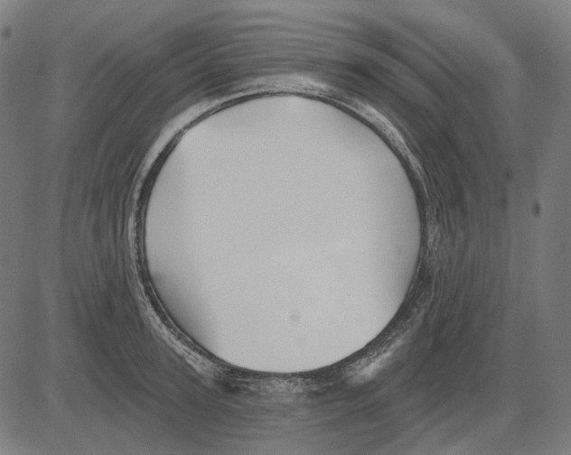 X0000081460947200702021804