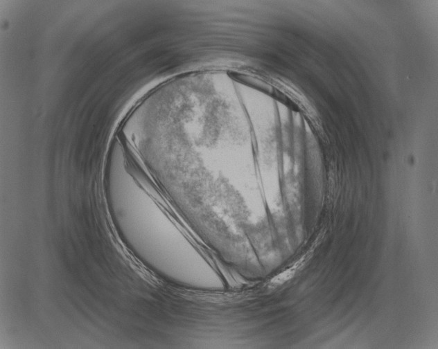 X0000081460948200702021804