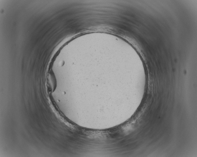 X0000081460949200702021804