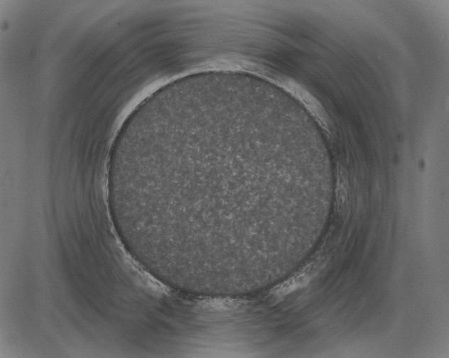 X0000081460950200702021804