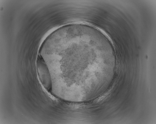 X0000081460951200702021804