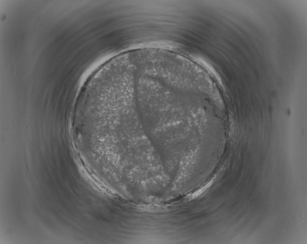 X0000081460952200702021804