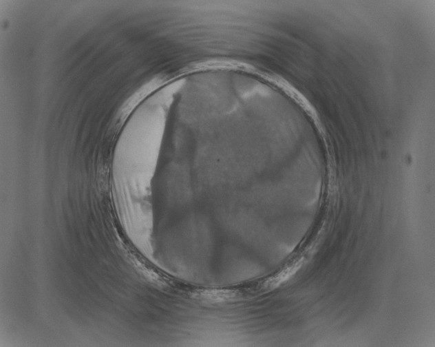 X0000081460953200702021804