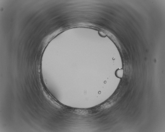 X0000081460954200702021804