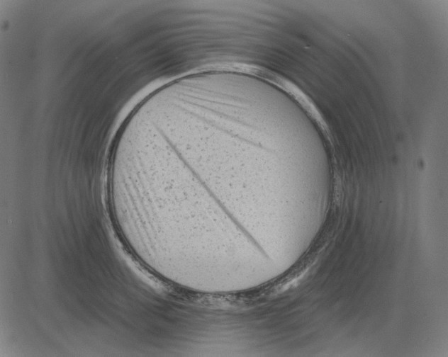 X0000081460955200702021804