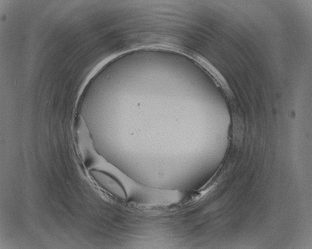 X0000081460956200702021804