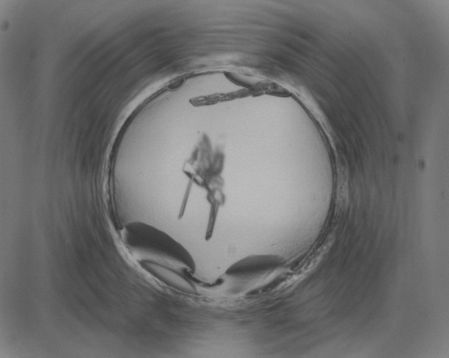 X0000081460957200702021804